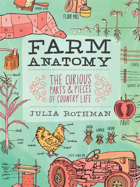 Farm Anatomy Julia Rothman pdf