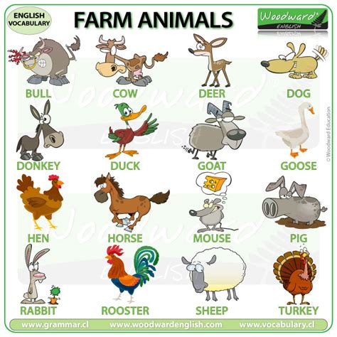 Farm Animals - English Vocabulary - LanguageGuide.org