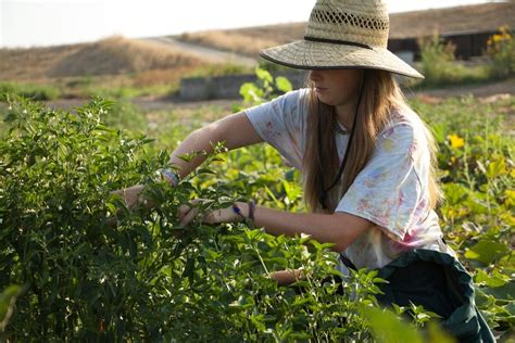 Farm Internship & Apprenticeship Zenger Farm