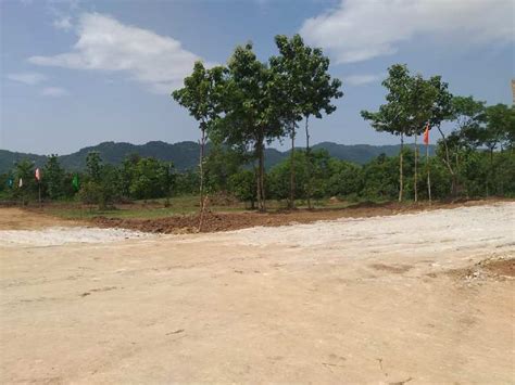 Farm Land for Sale in Boddam, Visakhapatnam