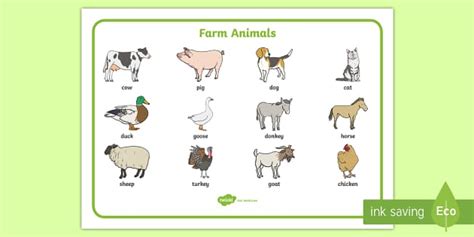 Farm Word Cards (teacher made) - Twinkl