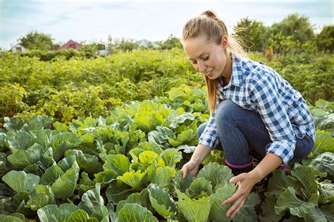 Farm Work Jobs, Employment in Mayland, VA Indeed.com