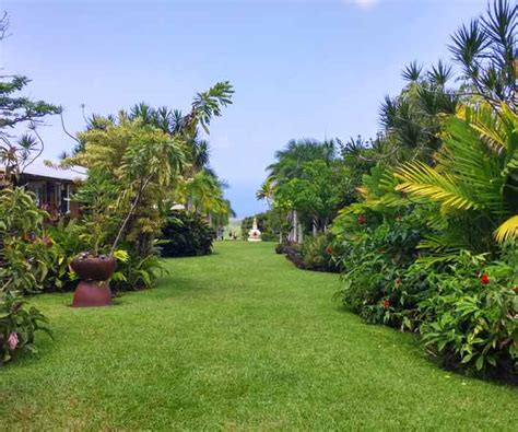 Farm and garden kona. Top ways to experience Paleaku Gardens Peace Sanctuary and nearby attractions. South Point Vortex Venture. 1. Full-day Tours. from. $399.00. per adult. Hawaiian Salt Farm Tour Kona. 253. 