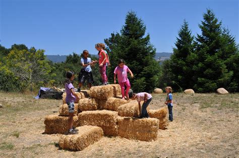 Farm camp. Things To Know About Farm camp. 
