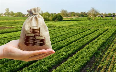 Farm investing. Things To Know About Farm investing. 