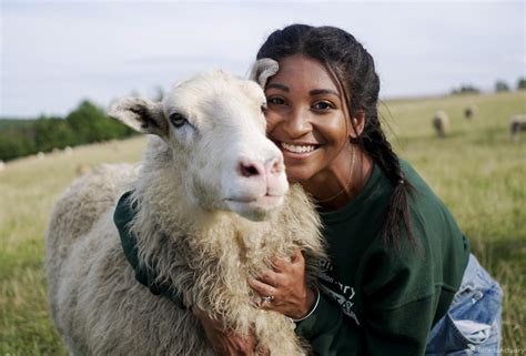 Farm sanctuary. Folley Farm Animal Sanctuary, Auckland, New Zealand. 2,254 likes · 110 talking about this · 6 were here. Folley Farm is a nonprofit sanctuary, based in South Auckland caring for 100+ animals. 
