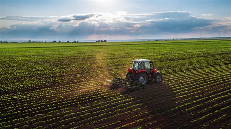 12 Best Agriculture Stocks to Buy Now April 25, 2023 — 10:34 am EDT Written by Jea Yu, MarketBeat Contributor for MarketBeat -> As vegetables are part of a balanced diet, agriculture stocks can...