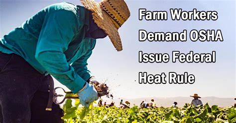 Farm workers demand OSHA issue federal heat rule