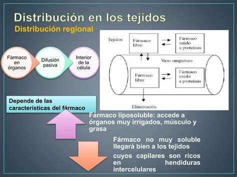 Farmacocinetica distribucion ppt. g.  Add 2 + 5.  How to do repeating operations, ...