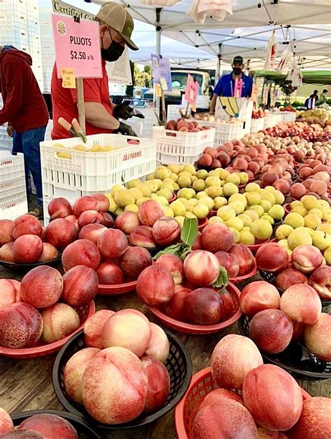 Farmers market san jose. Despite the frequent attention given Southern California cities, some of the state’s biggest cities, and some of America’s most densely populated, lie in the north. Some of these i... 