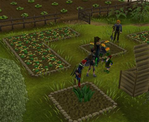 Farming Guide Pages Tip.It RuneScape Help The Original