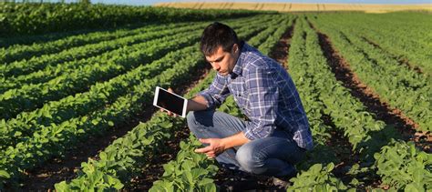 Farming business management. Things To Know About Farming business management. 
