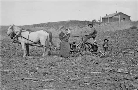Farming on the Great Plains - The West 1850-1890 Groups Who Settled on the Great Plains Farming Families moved West to receive land granted through the Homestead Act. They also traveled West because there was little farming land in the North.. 