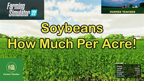 Just click and get All Taylor Farms Soybeans Mods in one place to upgrade the game. Farming Simulator 22 Taylor Farms Soybeans mod is for PC game version. We are happy to share Taylor Farms Soybeans mod for FS22. Just choose a mod, click to download Taylor Farms Soybeans and install for FS22. If you want to download FS22 …