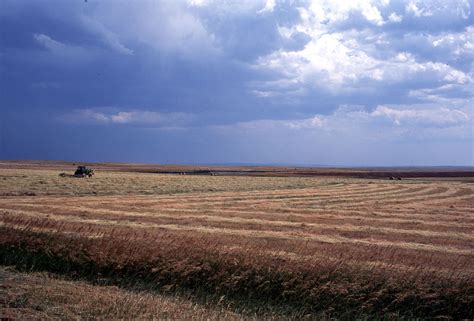 The settlement patterns of the Great Plains reflect the sum total of the effects of these ongoing processes. Native Americans, who only 150 years ago were the region's sole inhabitants, have been relegated to relatively small areas. Throughout the region a pattern of large-scale farms is interspersed with abundant artifacts of a much denser .... 