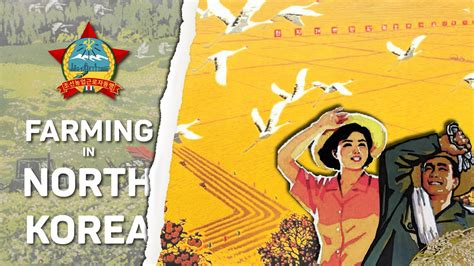 Farming workforce lacks force DPRK to trap discharged soldiers in...