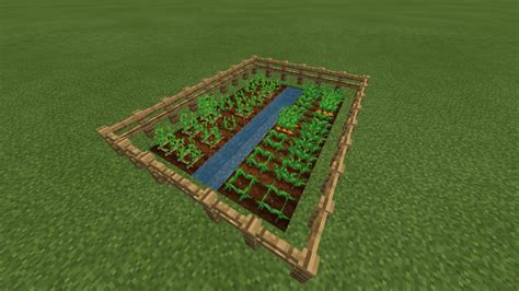 Farmland – Minecraft Wiki