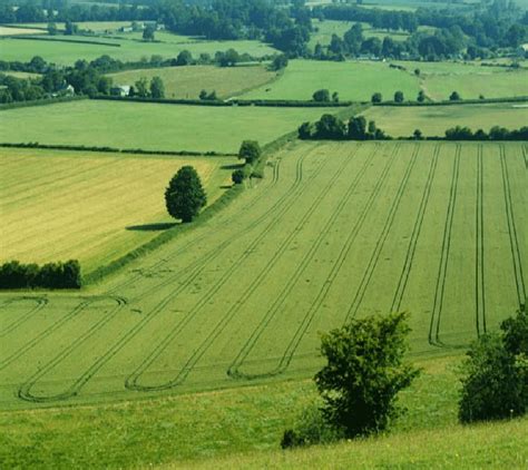 Farmland for rent near me. Things To Know About Farmland for rent near me. 