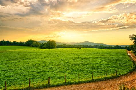 Farmland stock. Things To Know About Farmland stock. 