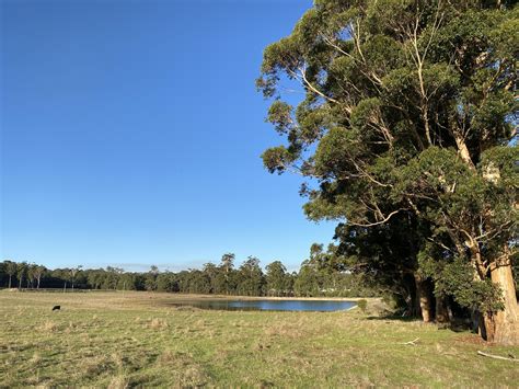 Farms in Manjimup, WA - Cylex Local Search