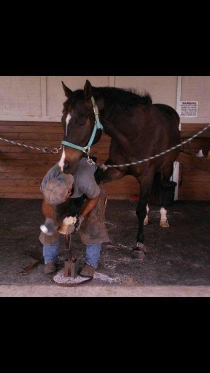 Farrier in Conroe, Texas (Montgomery County) - NewHorse.com