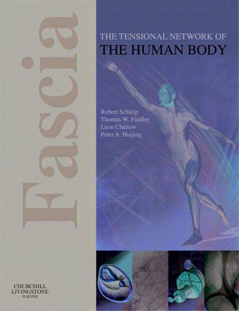 Fascia the tensional network of the human body the science and clinical applications in manual and movement therapy 1e. - 2005 jeep wrangler manual transmission fluids.