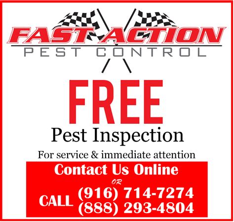 Fast action pest control. Give us a call today at 541-770-9510 and let us take care of your pest issues. Call Us Now. 4.7/5 (3 Reviews) Get commercial & residential pest control services by Action Pest Control in Medford, OR to get rid of spiders, bugs, pest & more insects. 