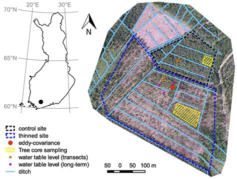 Fast recovery of suppressed Norway spruce trees after selection ...