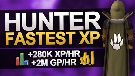 Fastest hunter xp osrs. Training Hunter actively can pose a challenge if certain regions are not unlocked. Kandarin contains the most variety in hunter creatures, but there are options in other areas. Misthalin allows the semi-passive training of Hunter through bird house trapping, which can be completed every 50 minutes. The Natural History Quiz can also be completed in Misthalin at level 1 Hunter, and grants 1,000 ... 