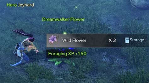 Fastest way to level up Foraging/Herbalist. : r/lostarkgame - Reddit