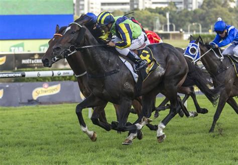 Fastnet Rock’s First Group One Success as a Broodmare Sire