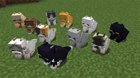 Fat Cat ModResource Pack For Minecraft 1.16.5, 1.16.4, 1.14.4 PC Java Mods