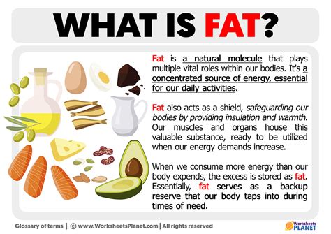 Fat Definition & Meaning YourDictionary