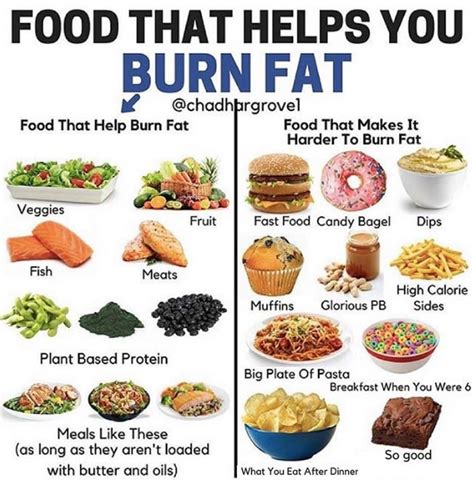 Fat loss success guide to successful fat loss using eating habits fat loss weight paleo. - Differential equations polking solutions manual online.