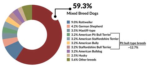 Fatal dog attacks.  According to CDC data, there are an average of 43 fatal dog a...