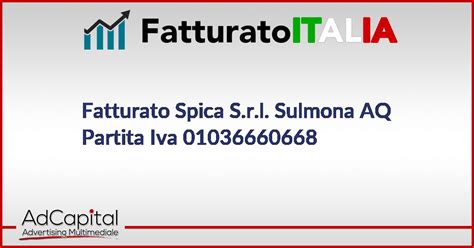 Fatturato Tcm S.r.l. Sulmona AQ