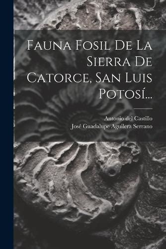 Fauna fosil de la sierra de catorce, san luis potosí. - Guidelines for pressure relief and effluent handling systems.