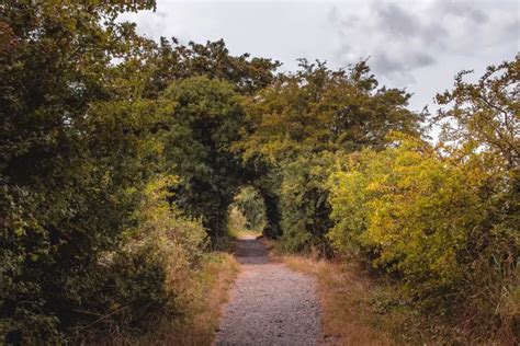 Faversham Walking - Open Paths and Trails