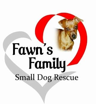 Fawn small dog rescue. Things To Know About Fawn small dog rescue. 