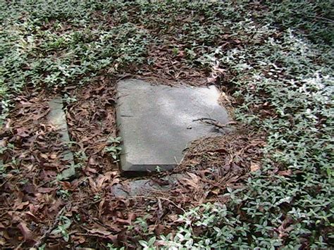 Fayette County GA Cemetery Records - LDS Genealogy