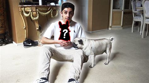Faze rug bosley. Published: 4:10 ET, Nov 17 2023. Updated: 6:48 ET, Nov 17 2023. YOUTUBER FaZe Rug has announced the sudden death of his much-loved pug Bosely. The social media star … 