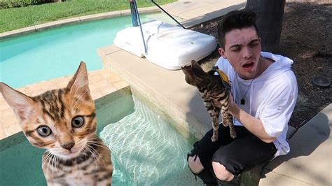 Fazecatsby Onlyfans Leaked 😈 PORN