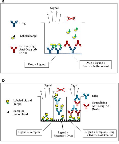 Fc Receptor - an overview ScienceDirect Topics