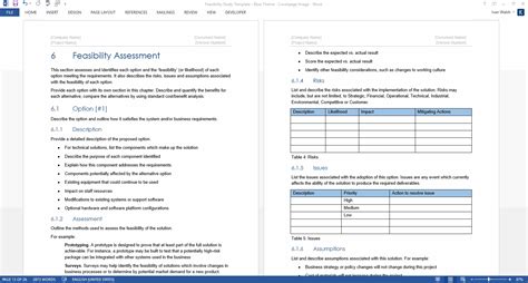 Feasibility Study Template Software Development Templates, Forms