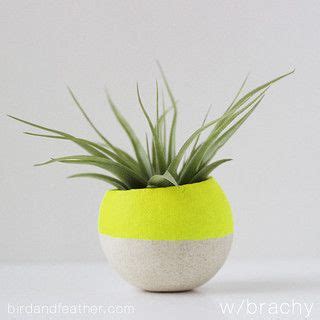 Feather Planter - Etsy