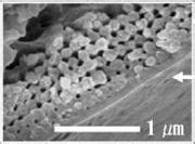 Feathered photonic crystal takes off - optics