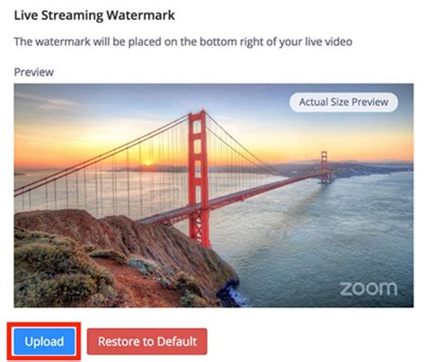 Feature Request: Remove Zoom watermark on livestream