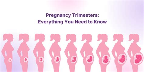 Feber gravid tredje trimester