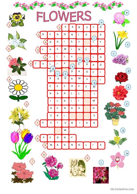 February flowers -- Find potential answers to this crossword clue at crosswordnexus.com. 