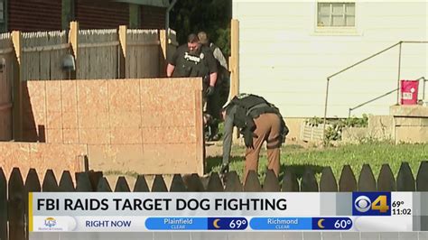 Federal raids target drugs, dog fighting in Indianapolis; 75 dogs recovered